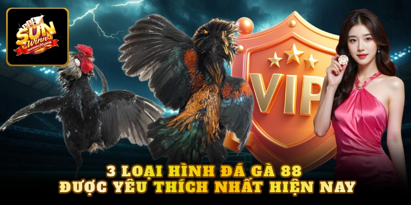 3 loại hình đá gà 88 được yêu thích nhất hiện nay