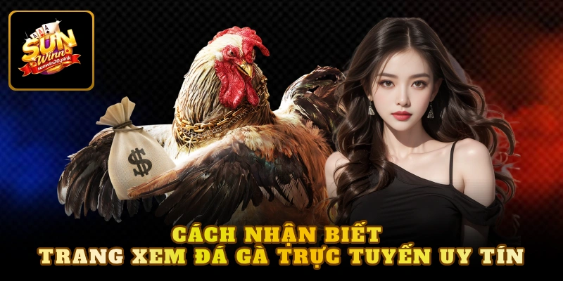 Cách nhận biết trang xem đá gà trực tuyến uy tín