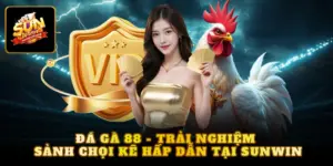 đá gà 88