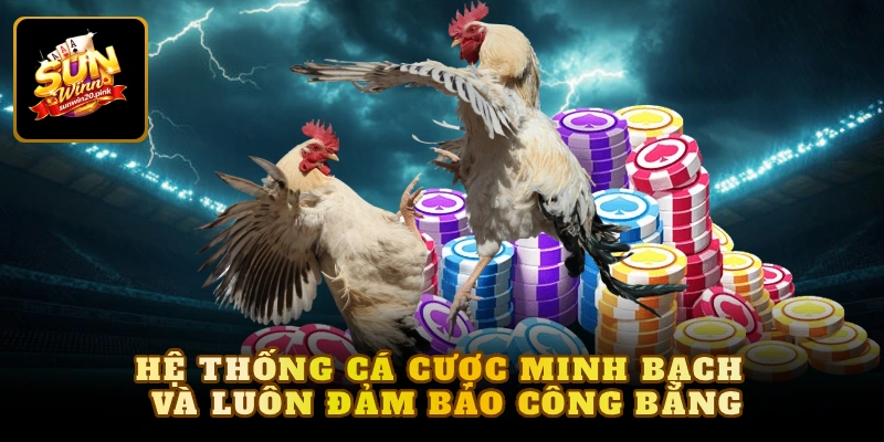 Hệ thống cá cược minh bạch và luôn đảm bảo công bằng