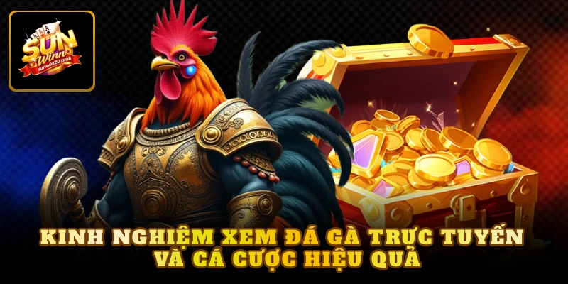 Kinh nghiệm xem đá gà trực tuyến và cá cược hiệu quả