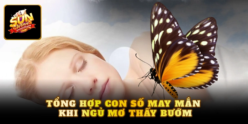 Tổng hợp con số may mắn khi ngủ mơ thấy bướm