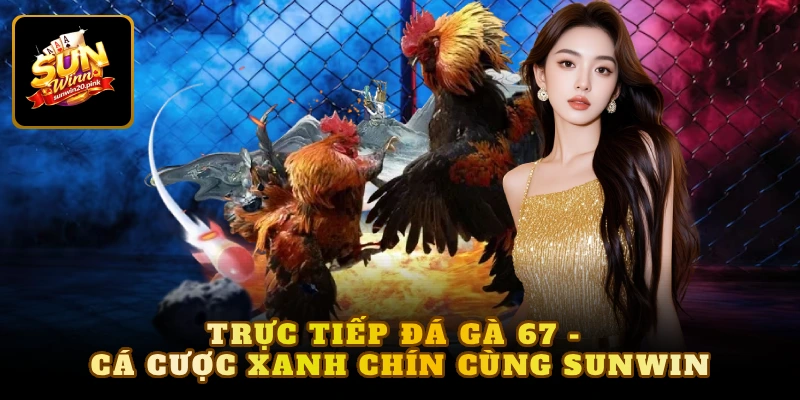 trực tiếp đá gà 67