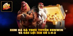 Xem đá gà trực tuyến