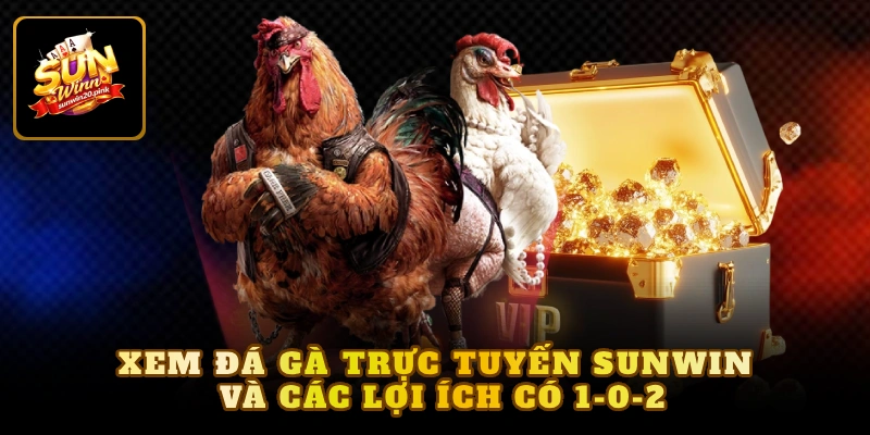 Xem đá gà trực tuyến