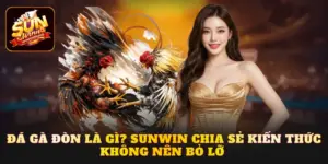 đá gà đòn