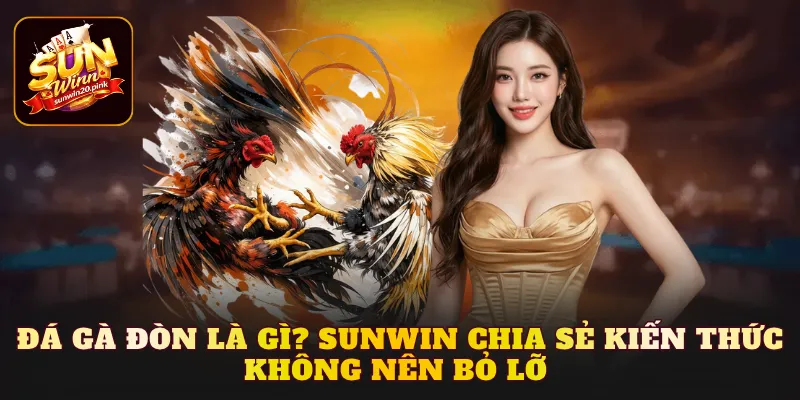 đá gà đòn