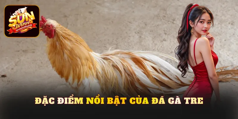 Đặc điểm nổi bật của đá gà tre