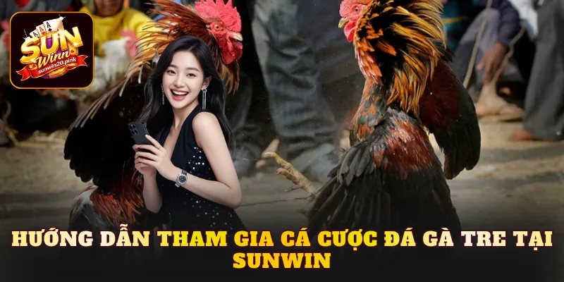 Hướng dẫn tham gia cá cược đá gà tre tại Sunwin
