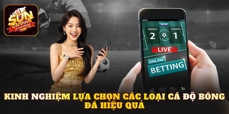 Kinh nghiệm lựa chọn các loại cá độ bóng đá hiệu quả