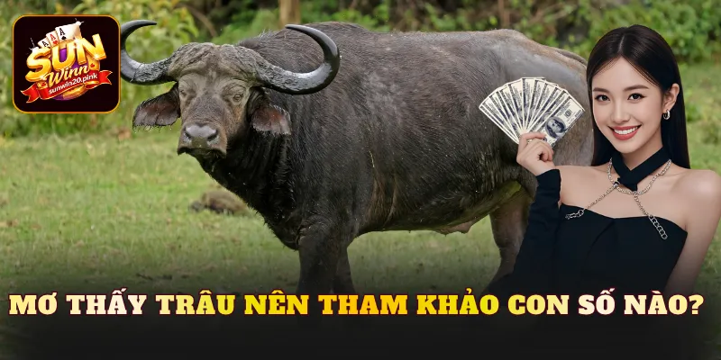 Mơ thấy trâu nên tham khảo con số nào? 