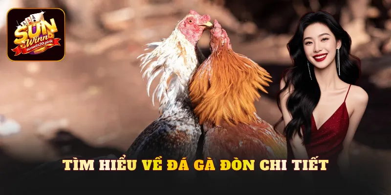 Tìm hiểu về đá gà đòn chi tiết